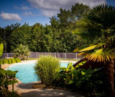 Piscine extérieure entourée de palmiers au Camping Domaine le Quercy