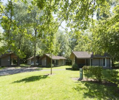 Clairière avec bungalows en bois au Camping Du Port De Plaisance