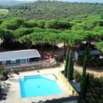 Piscine extérieure entourée de pins au Camping Figurotta