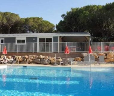 Piscine extérieure bordée de pins et transats au Camping Figurotta