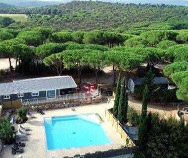 Piscine extérieure entourée de pins au Camping Figurotta