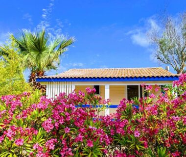 Façade de bungalow entourée de lauriers roses au Camping Hameau Des Cannisses