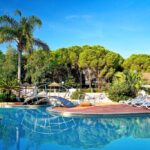 Piscine extérieure avec transats et palmiers au Camping International