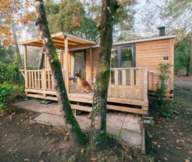 Terrasse en bois entourée d'arbres avec chaises au Camping LANDAE