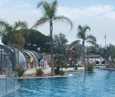 Piscine extérieure avec toboggans et palmiers au Camping LES DUNES Mobil home 6 personnes