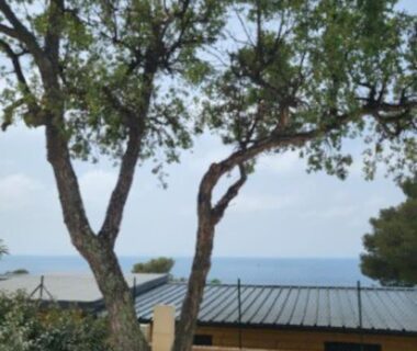 Jardin gravillonné avec arbre et vue mer au Camping L'ILE D'OR