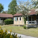 Allée bordée de chalets et espaces verts au Camping L'Orée du Bois