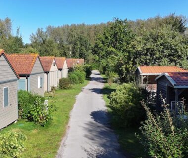 Allée de mobil-homes et arbres au Camping L'Orée du Bois