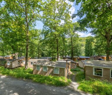 Allée de mobil-homes sous de grands arbres au Camping La Chênaie