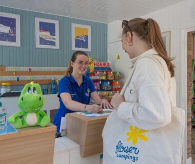 Accueil intérieur avec réceptionniste client au comptoir et peluche verte au Camping La Chênaie