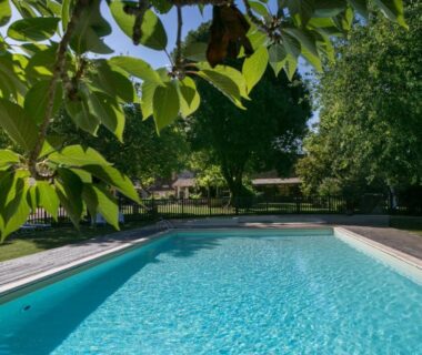 Piscine extérieure entourée d'arbres au Camping La Ferme de Perdigat