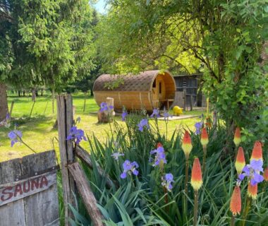 Jardin avec sauna en bois et fleurs au Camping La Ferme de Perdigat