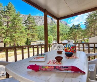 Terrasse couverte avec table et chaises dans la pinède au Camping La Pinatelle