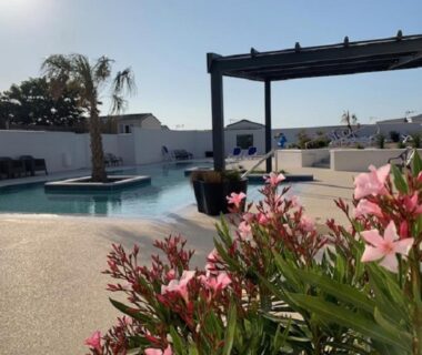Piscine extérieure bordée de palmiers et fleurs au Camping La Pointe du Talud