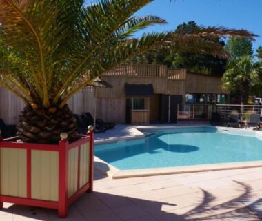 Piscine extérieure avec palmiers et terrasse au Camping La Prévoté