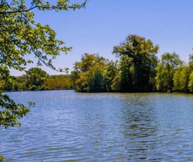 Lac bordé d'arbres au Camping Lac aux Oiseaux Mobil-home 3 pièces 4 personnes MAE-0991