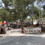 Entrée entourée de pins au Camping Le Bois De Pins