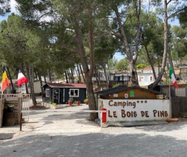 Entrée entourée de pins au Camping Le Bois De Pins