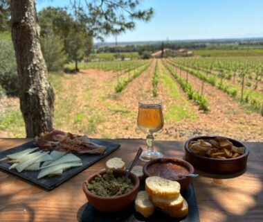 Terrasse ombragée avec apéritifs et verre de vin face au vignoble au Camping Le Bois De Pins