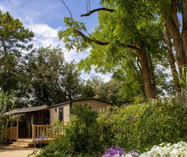 Mobil-home dans la végétation avec terrasse au Camping Le Bois Verdon