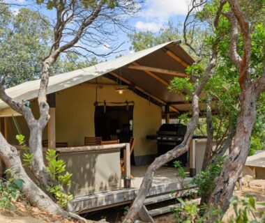 Terrasse en bois avec tente entourée de chênes au Camping Le Damier