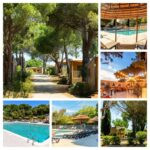 Allée ombragée et piscine avec transats au Camping Le Hameau des Pins