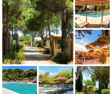 Allée ombragée et piscine avec transats au Camping Le Hameau des Pins