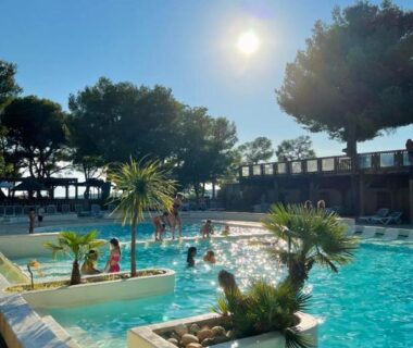 Piscine extérieure avec palmiers et baigneurs au Camping Le Mas