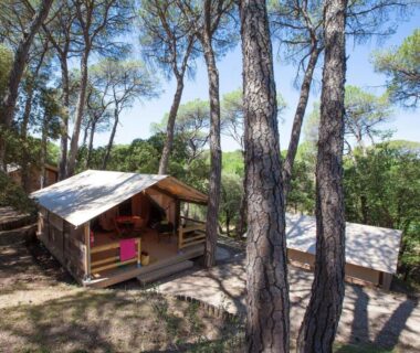Chalet en bois sur pilotis dans la pinède au Camping Le Mas de Reilhe