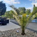 Terrasse et bord de piscine avec palmiers au Camping Le Moulin des Effres