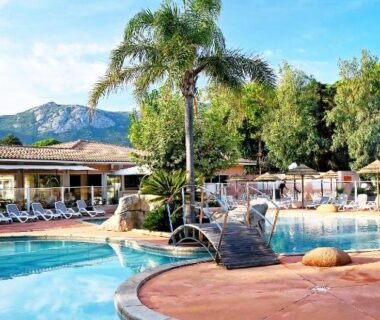 Piscine avec pont palmiers et transats au Camping Les Castors