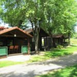 Allée ombragée bordée de chalets en bois au Camping Les Etoiles