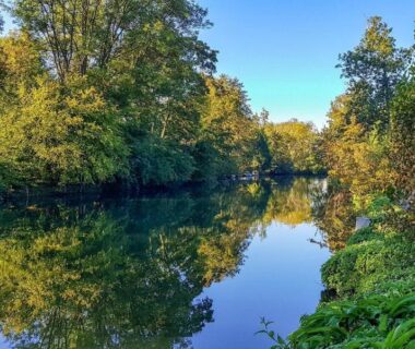 Bord de plan d'eau avec arbres au Camping Les Fontaines