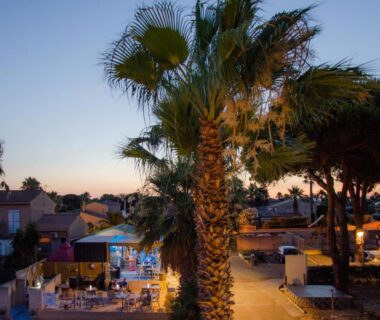 Piscine extérieure éclairée et palmiers au Camping Les Jardins d Agathe