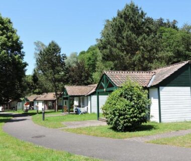 Allée avec chalets sur pelouse au Camping Les Lupins