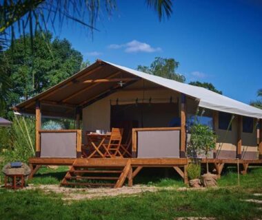Terrasse de lodge sur pilotis entourée de verdure au Camping Les Vertes Feuilles