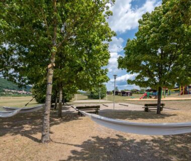 Espace détente avec hamacs sous les arbres au Camping Les Vosges du Nord