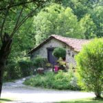 Allée et cottage en pierre dans la végétation au Camping Moulin De Chaules