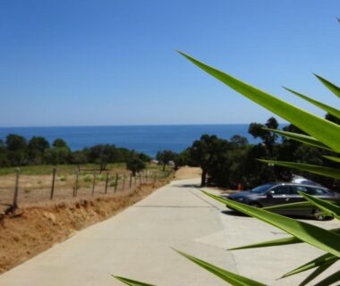 Allée d'accès avec parking et vue mer au Camping Mozziconaccio