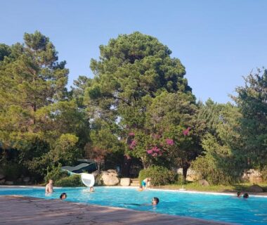 Piscine extérieure entourée de pins au Camping Mulinacciu