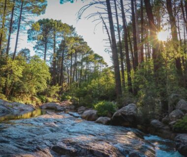 Ruisseau en forêt dans le camping Mulinacciu