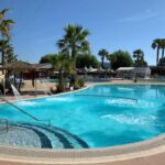 Piscine extérieure bordée de palmiers au Camping Officiel Siblu le Montourey