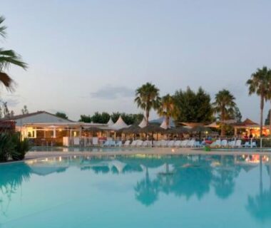 Piscine extérieure et palmiers au Camping Officiel Siblu le Montourey