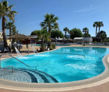 Piscine extérieure bordée de palmiers au Camping Officiel Siblu le Montourey