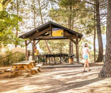 Espace pique-nique sous les pins avec barbecue au Camping Olva - Maeva