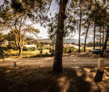 Emplacement ombragé entre pins et végétation au Camping Olva Maeva