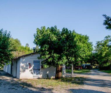 Allée ombragée et bungalow au camping Onlycamp Les Tuillères