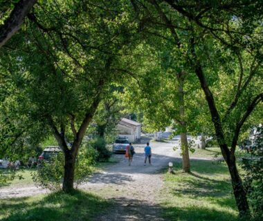 Allée ombragée avec arbres et emplacements au Camping Onlycamp Les Tuillères