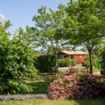 Espace vert avec mobil-home entouré d'arbres au Camping Onlycamp Pierre & Sources