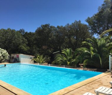 Piscine extérieure avec transats et palmiers au camping Pezza Cardo